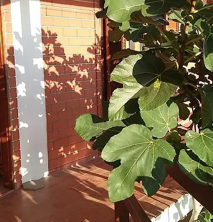Holiday home Mezzaluna